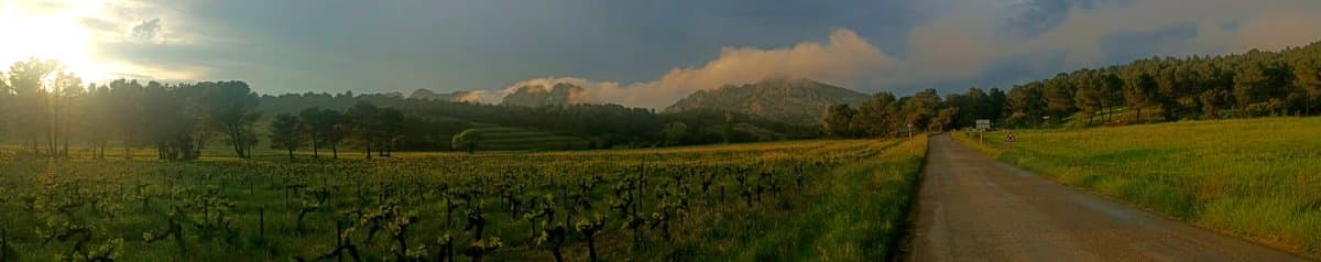 Cooking over fire in the Provençal countryside
