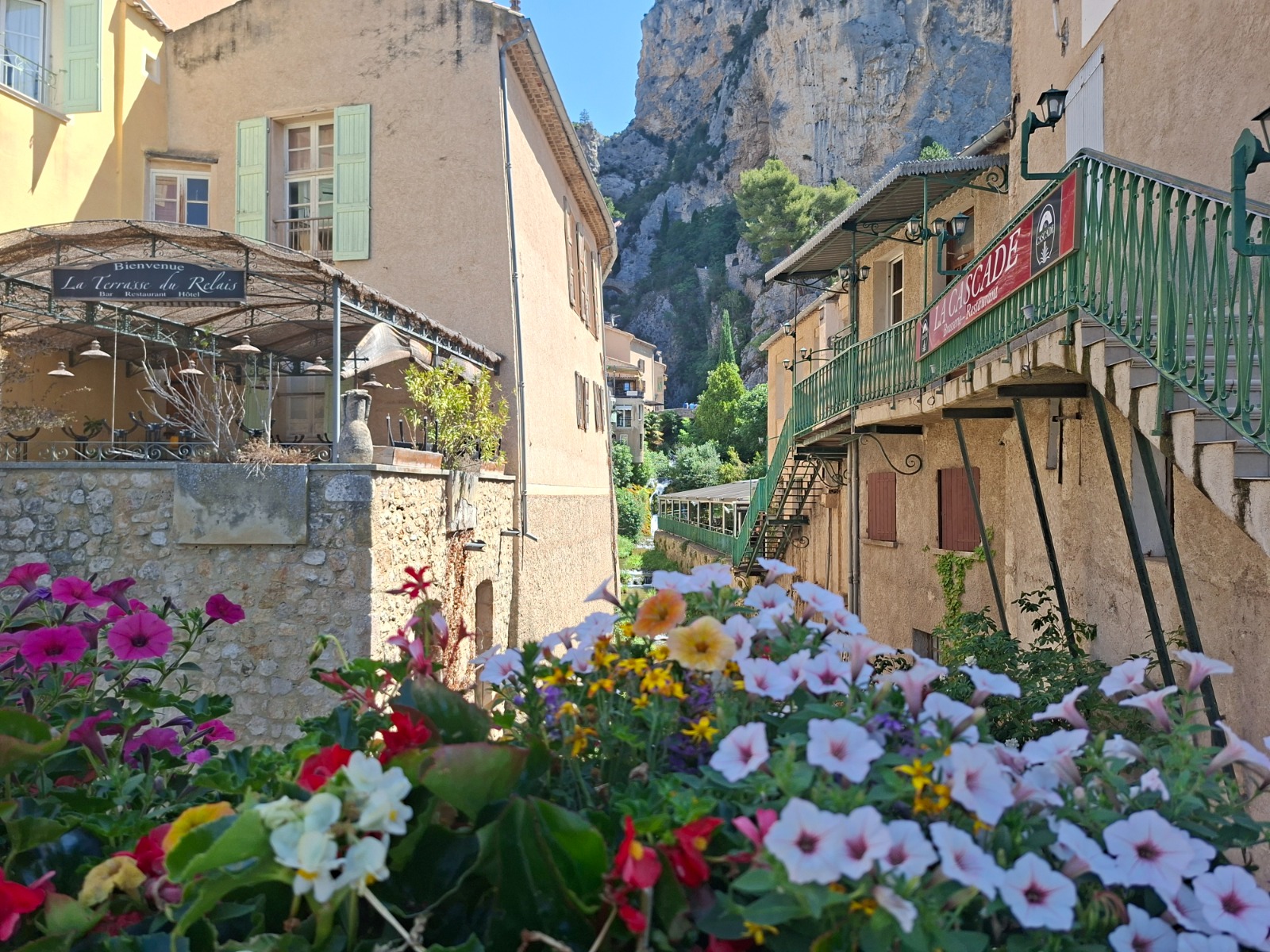 Notre fille marchant dans une rangée de lavande à Valensole