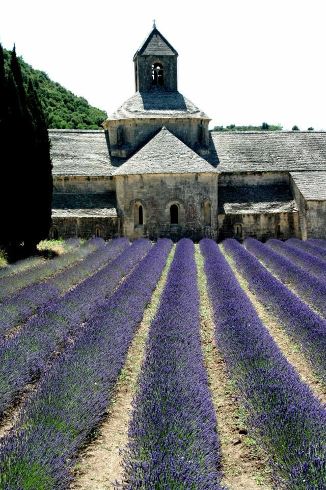 The Abbaye de Sénanque surrounded by lavender