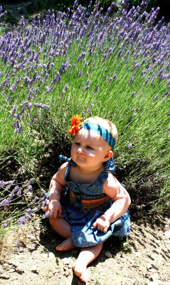 Our daughter in the lavender at the Abbaye de Sénanque