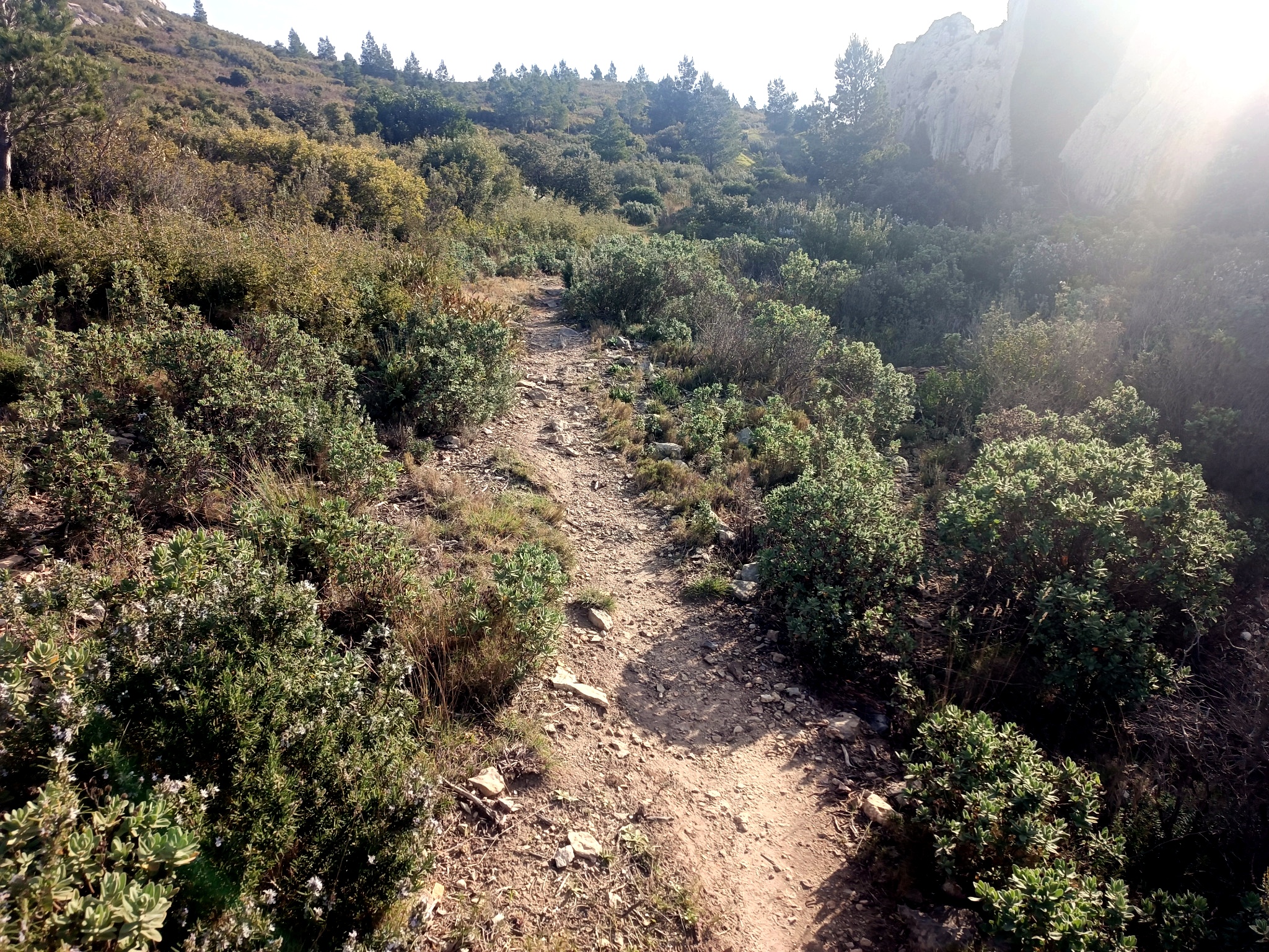 Terraced house foundations on the cliff face