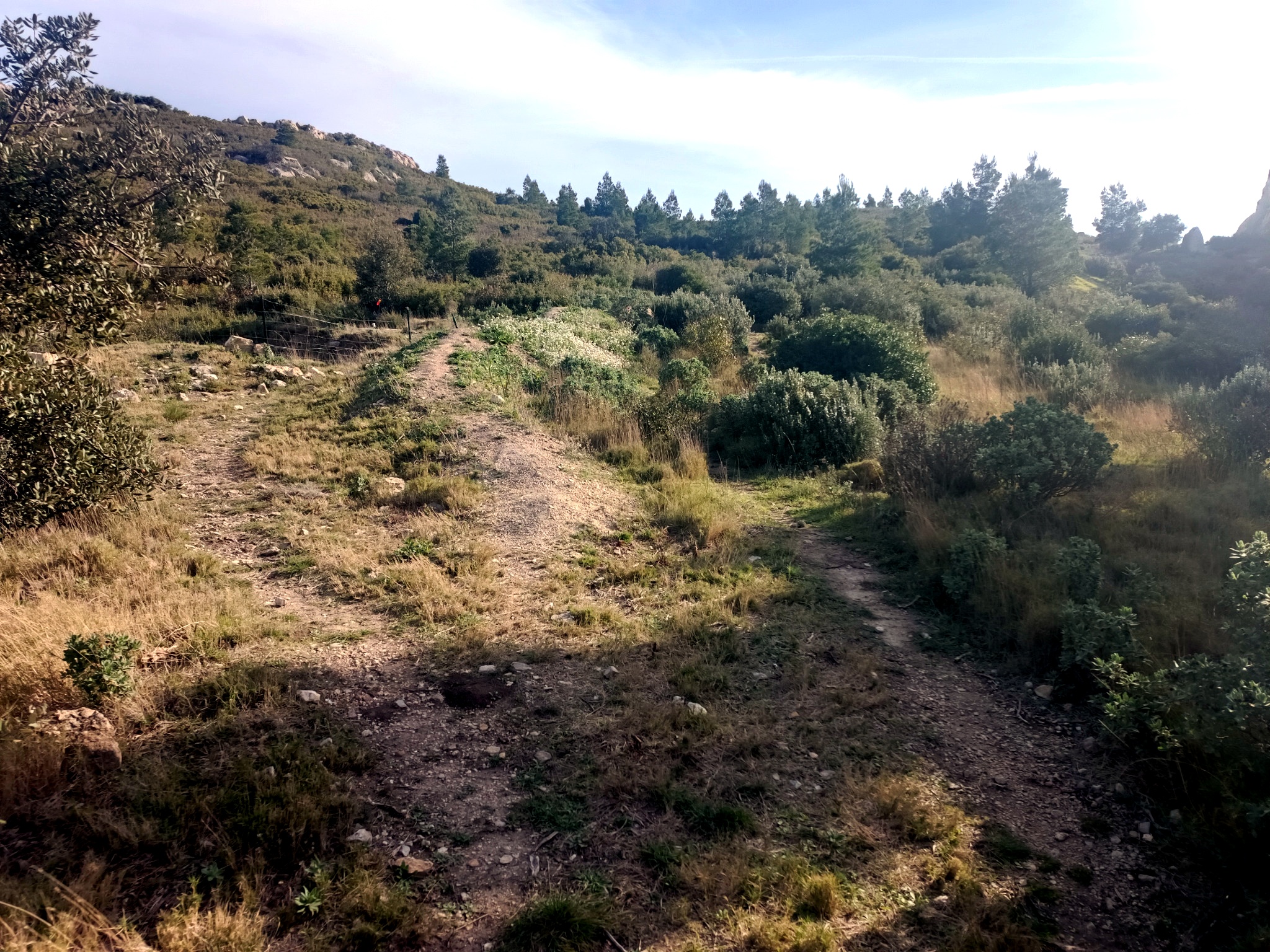 Stone walls and settlement remains