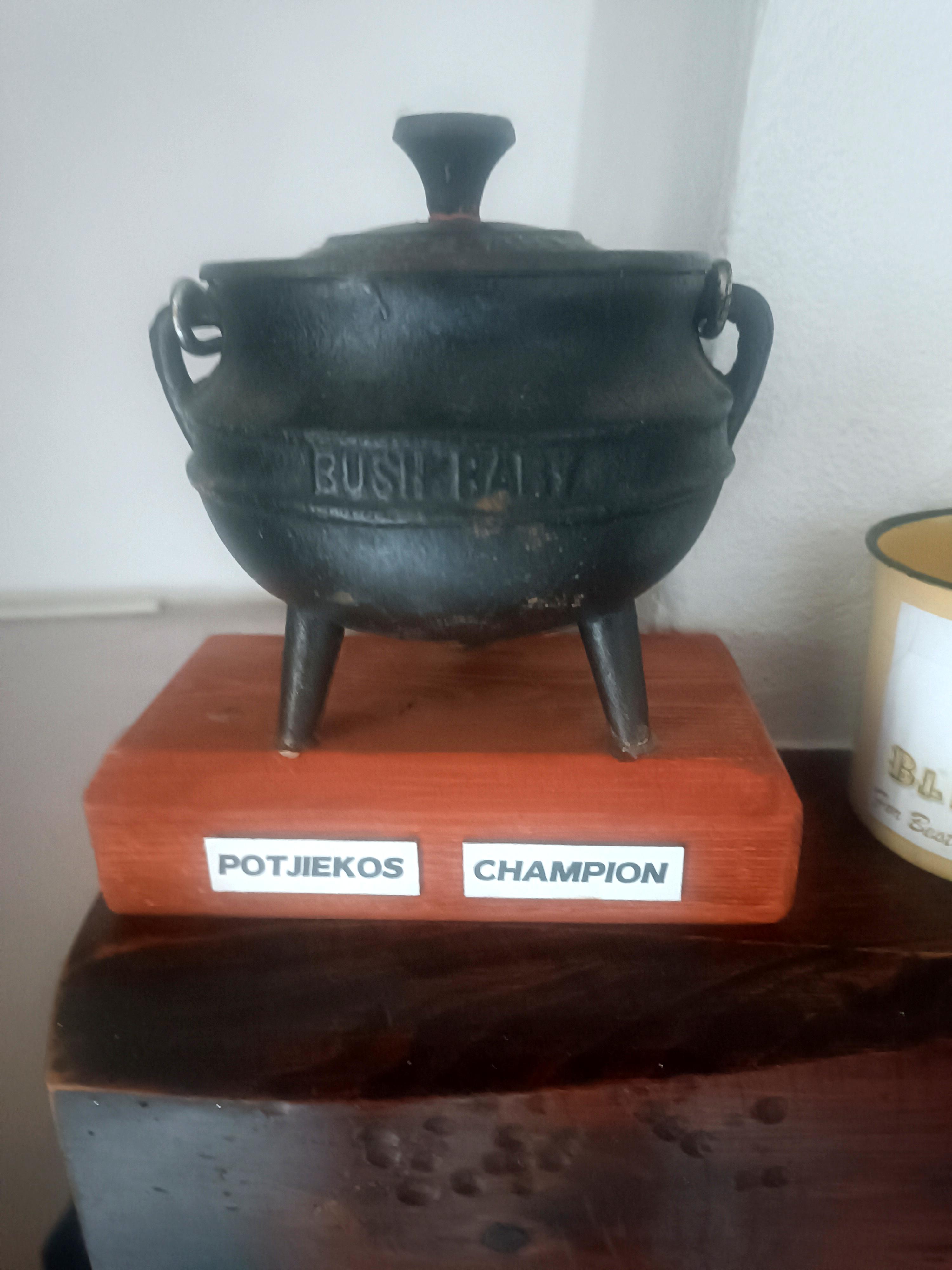 Creamy Veal Tail & Mushroom Potjie - photo 2