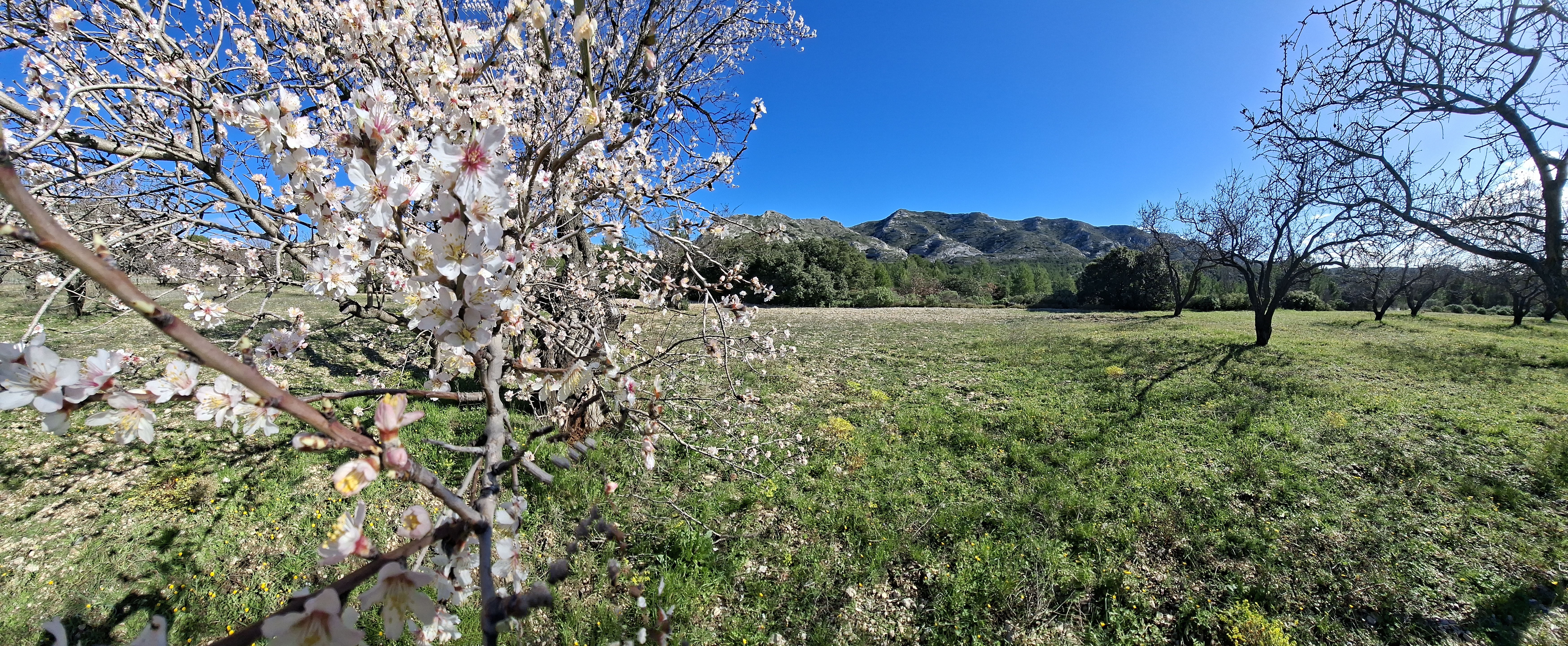 Spring panorama in the Luberon